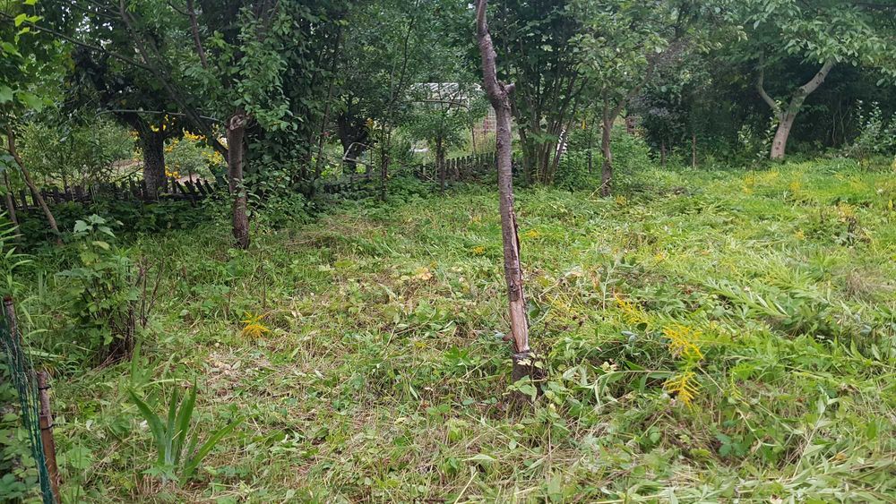 Działka ROD Leśnik 251 m² – Gdańsk Oliwa, ul. Kwietna, cisza, las, świetna lokalizacja - Widok 4