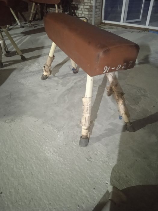 Козел гімнастичний