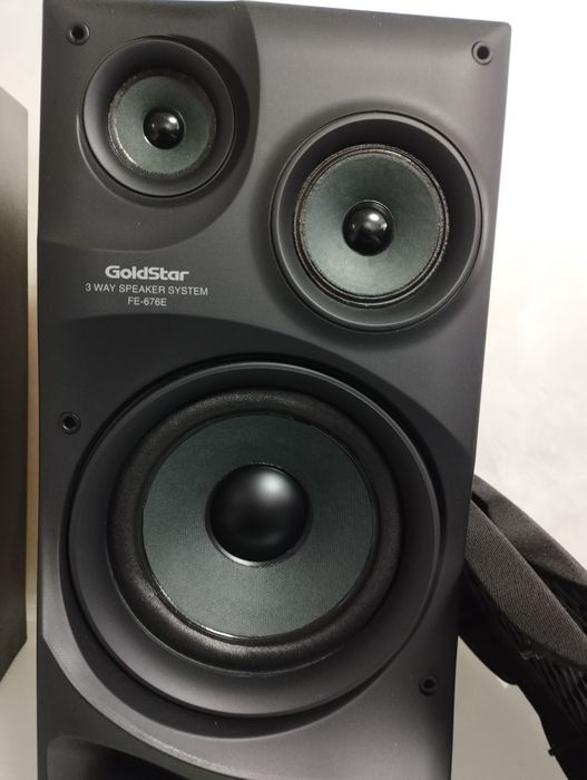 Колонки GoldStar LUKAS FE-676E