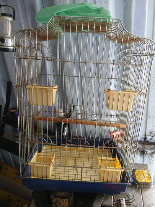 Gaiola para aves medio porte,caturras,ring net,conures