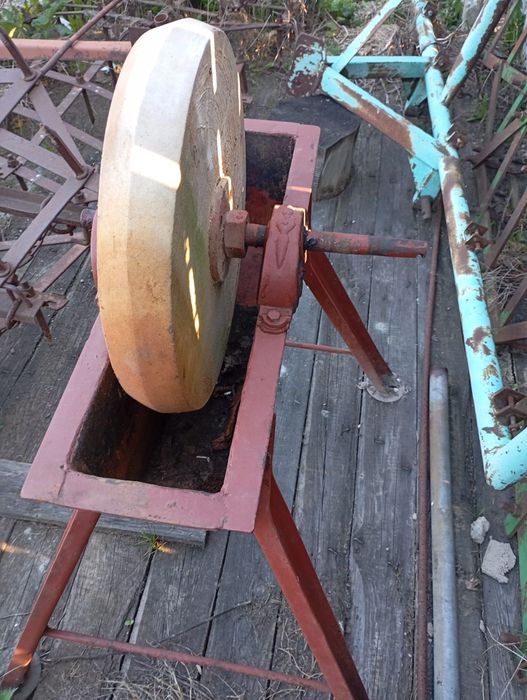 Toczak jak na zdjęciu