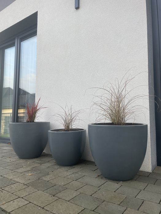 Donice betonowe 3 szt (miskant chiński)