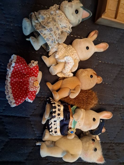 Поодам дім Сільваніан