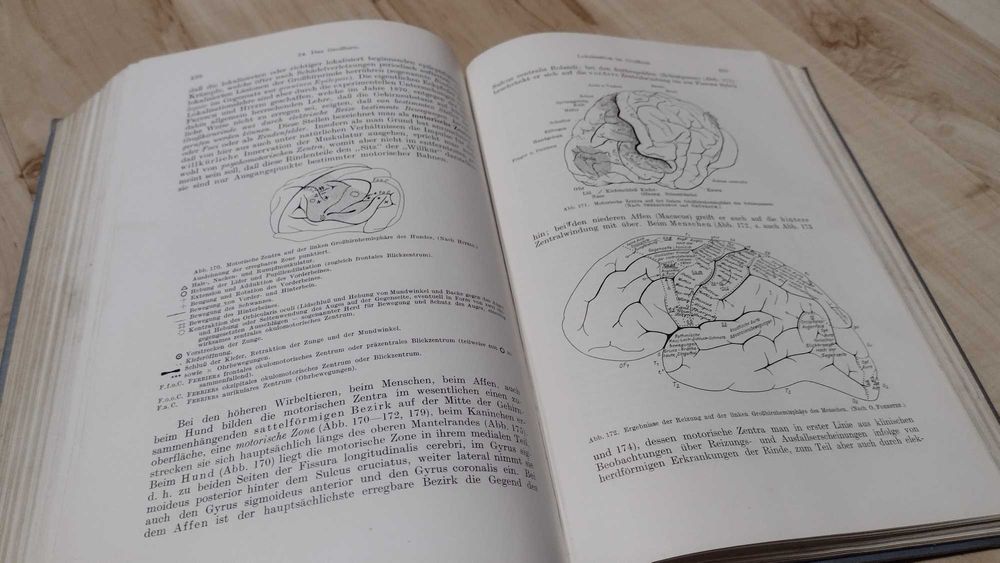 Książka Lehrbuch der Physiologie des Menschen