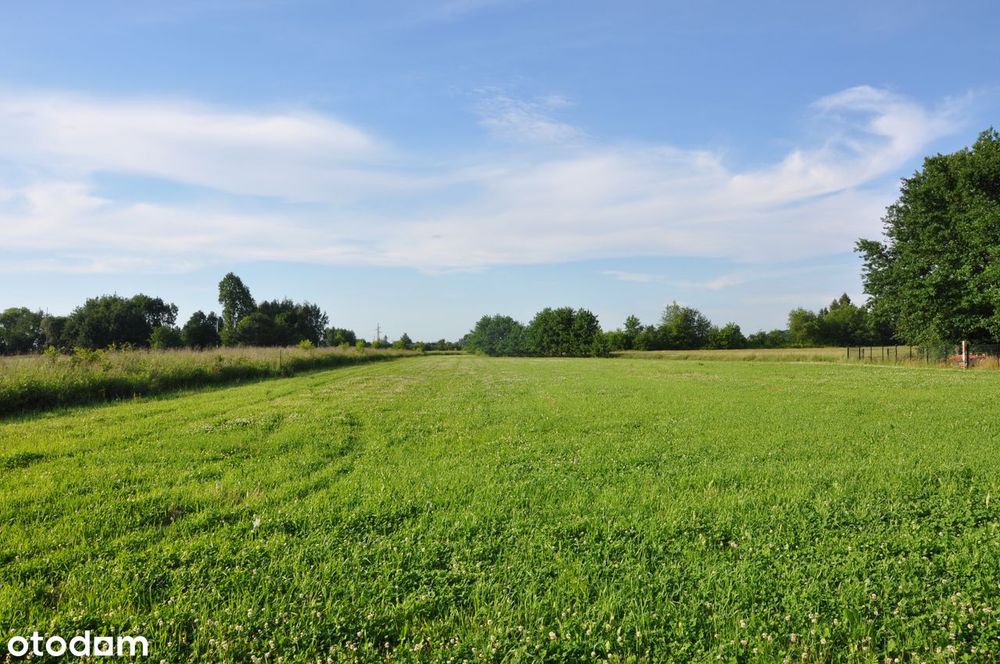 Atrakcyjna działka budowlano-rolna w Brzezince k. Oświęcimia - Widok 4
