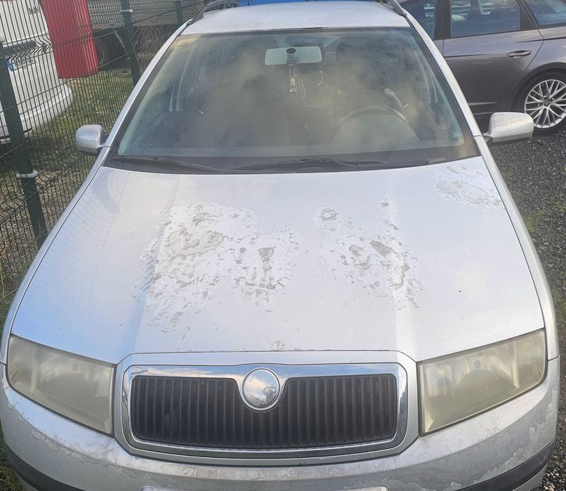 Vendo Skoda fabia carinha