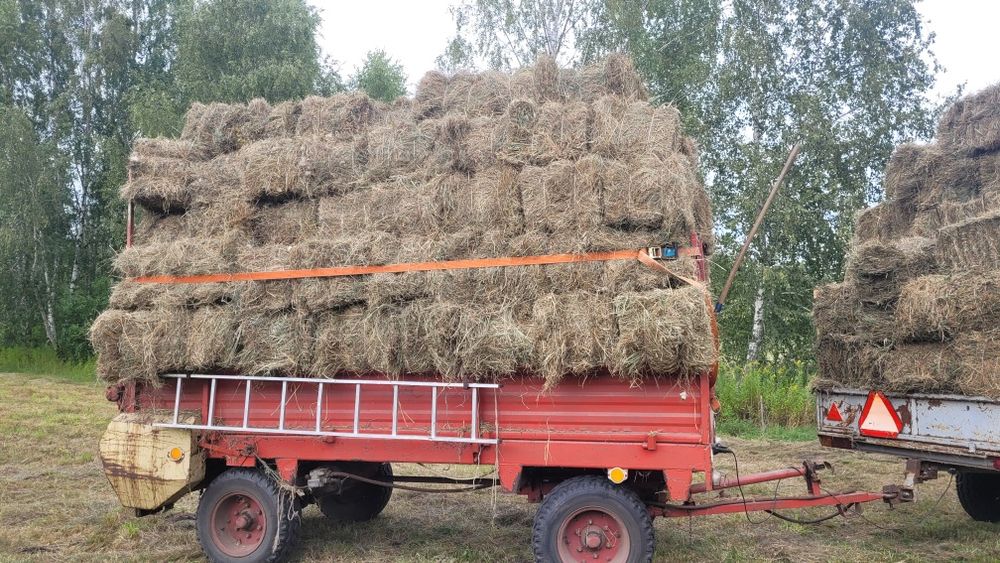 Sprzedam siano w kostkach