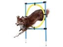Nowe ZOOFARI Akcesoria do treningu agility dla psa