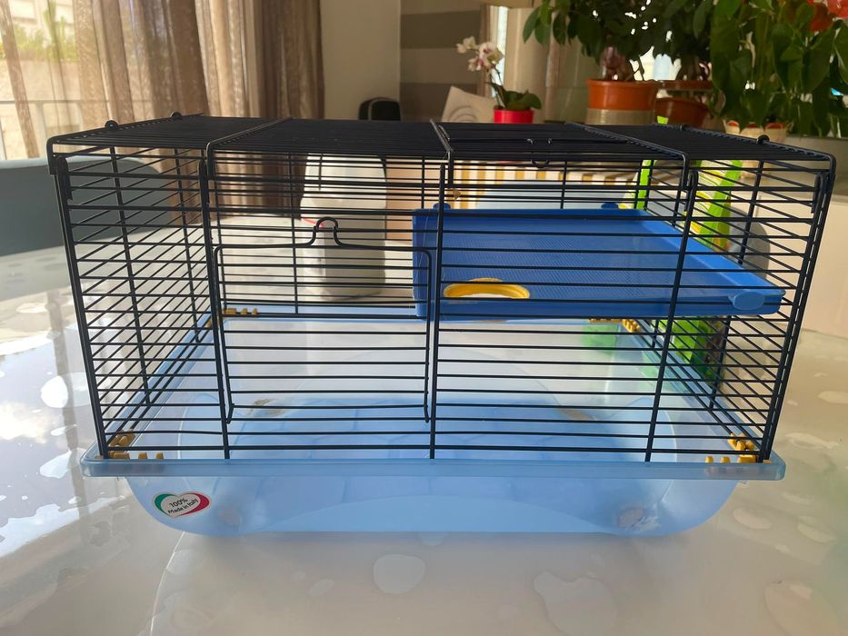 Kit completo para hamster – tudo o que precisas num só conjunto!