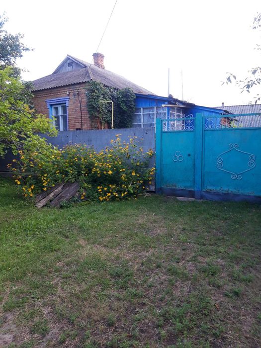 Продам господарство