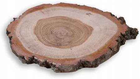 Plastry drewna - średnica, grubość i gatunek do ustalenia indywidualni