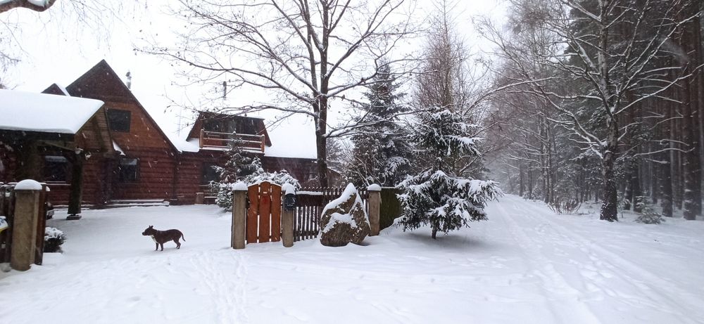 Willa Siemianówka - Nad jeziorem, Jacuzzi, Sauna. 50km od Białegostoku
