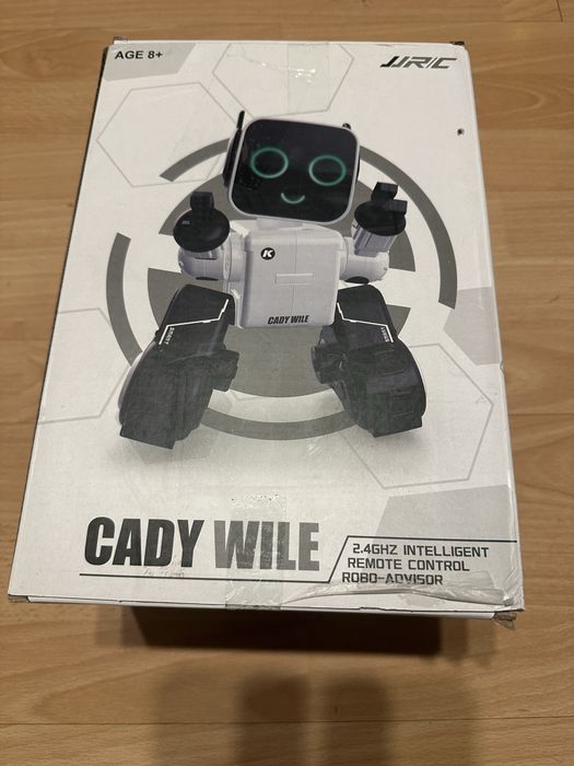 Interaktywny robot Cady Wille