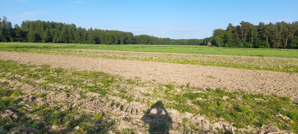 Sprzedam Działki Budowlane