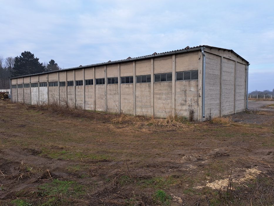 Wynajmę Halę Warsztatowo-Magazynową