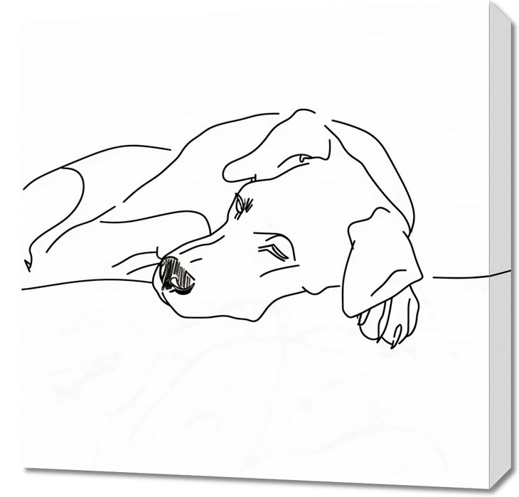 Obraz 60x60cm Wypoczynek Psiaka