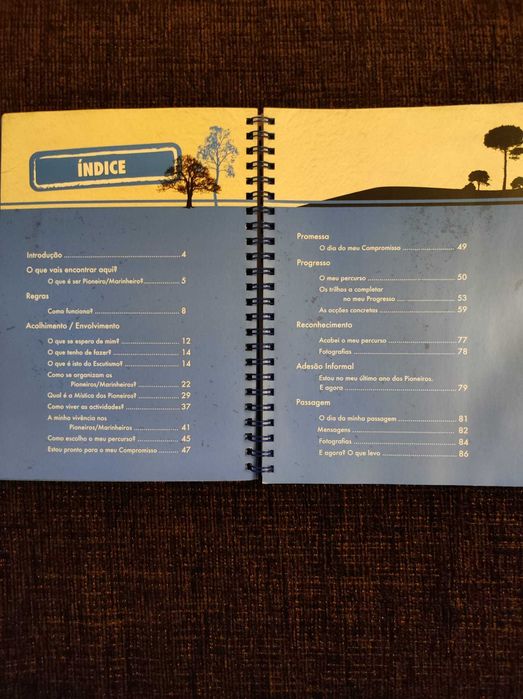 Diário de Vivências Pioneiros e Marinheiros