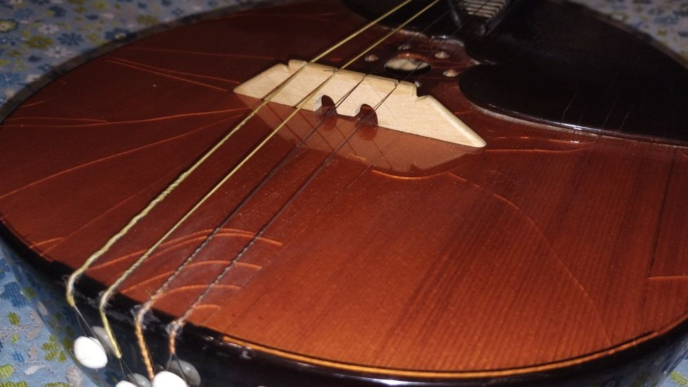 Майстрова домра прима