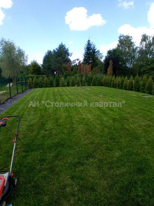 Продаж будинку. Зазим'я.