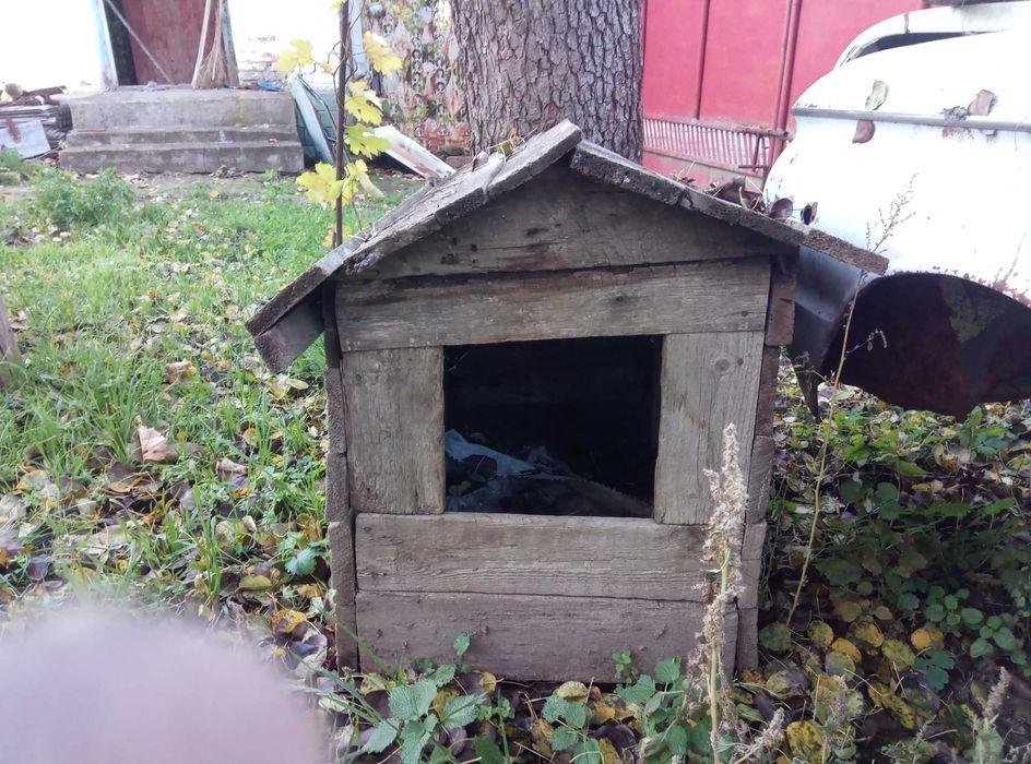 Будка собачка б.у?