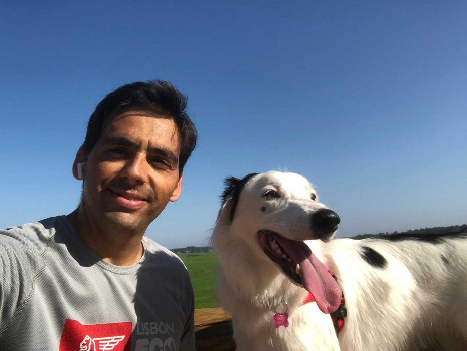 Dog Walking | Pet Sitting | Passear cães | Dogwalker | Almada