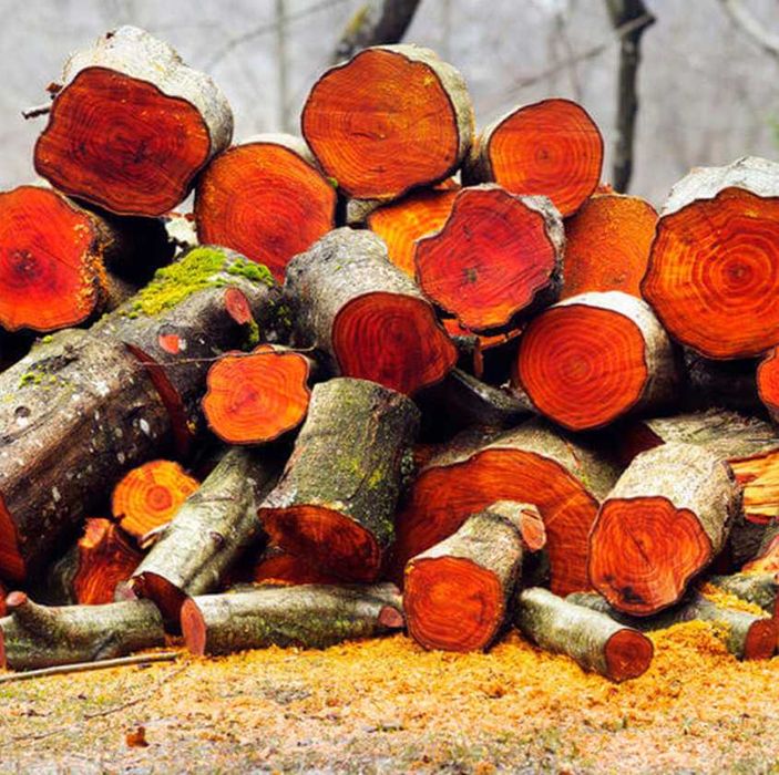 DREWNO DO WĘDZENIA OLCHA na ognisko, grill 40 L, MP