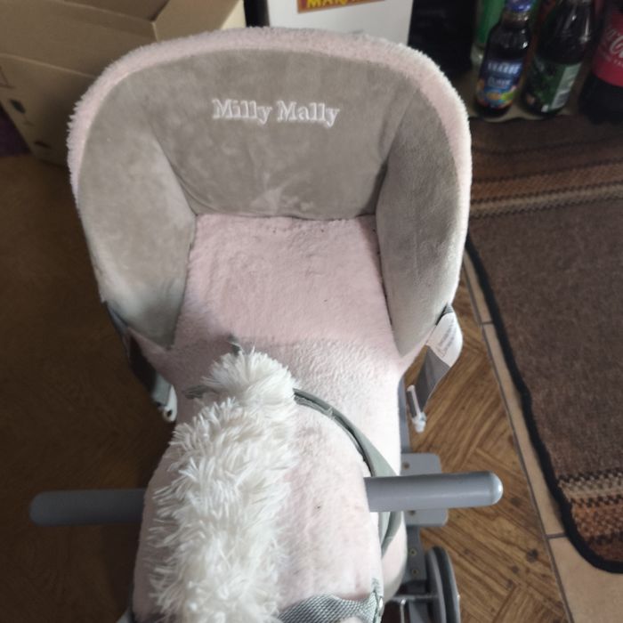 Koń na biegunach plus kółka