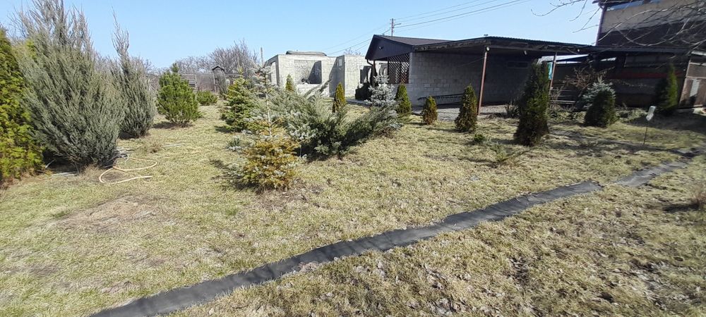 Продам дачу 12 сот  Шевченковский р,н