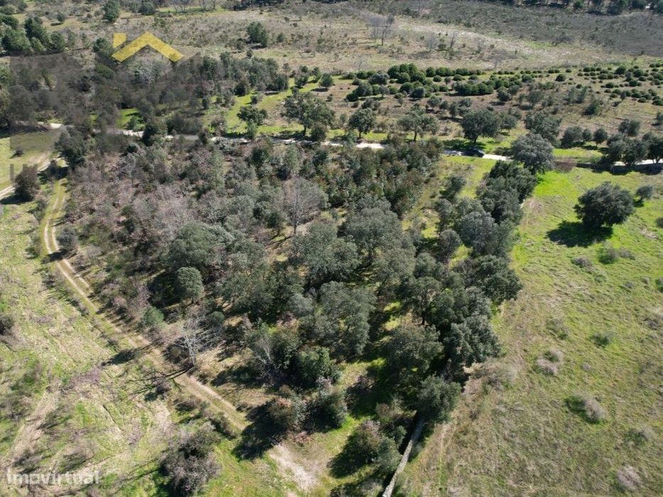 Terreno de 5,3 Hectares na Aldeia de Águas - Penamacor