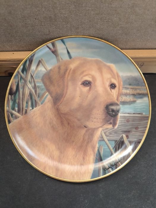 Prato Colecionador Labrador