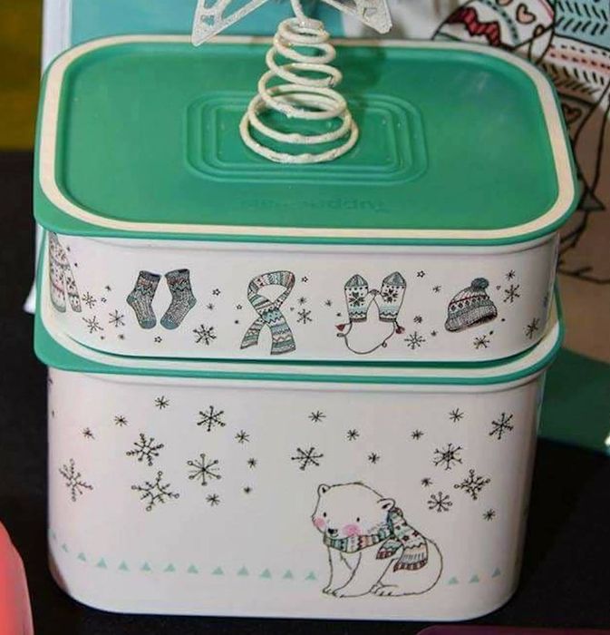 2 Caixas (500ml + 1.3L) + Saco Grande "Urso Polar" Tupperware