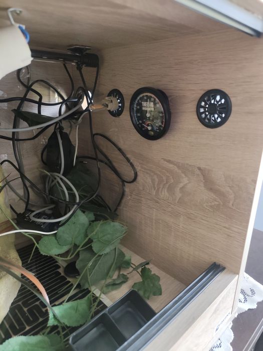 Terrarium dla gadów z wyposażeniem