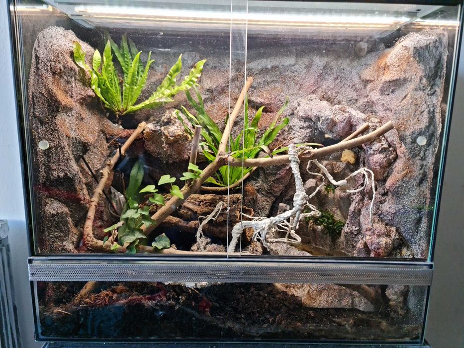 terrarium wyposażone