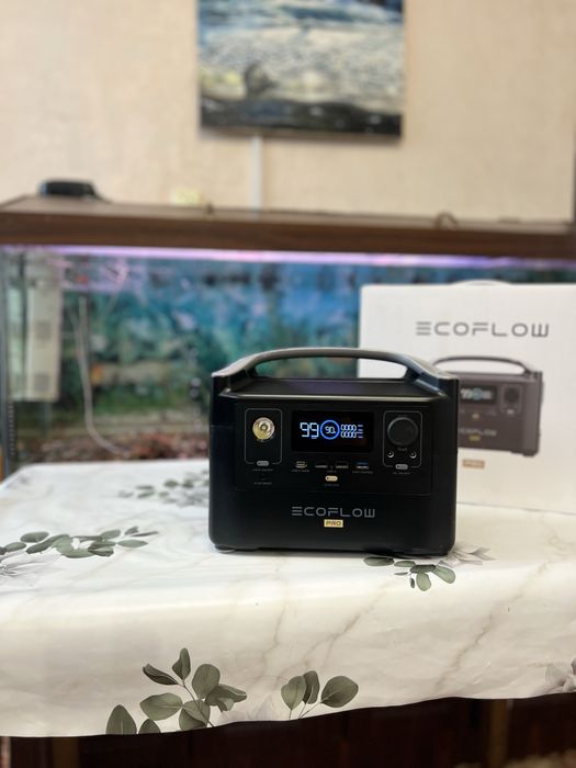 EcoFlow, павербанк , станція