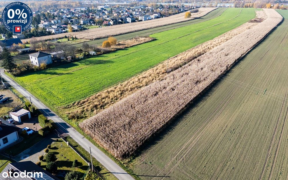 Na sprzedaż działka budowlana w zielonej okolicy | Knurów Farskie