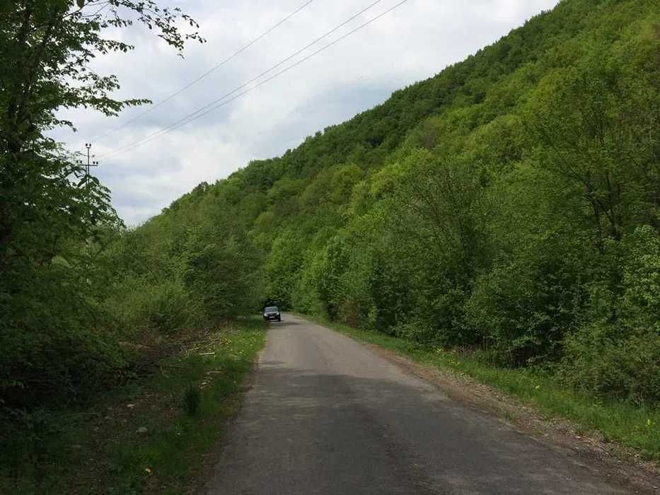 Власник! Комплекс із 2 ділянок (76 сот) під глемпінг, підземне виробництво, спа-бункер або IT-хаб (Закарпаття)
