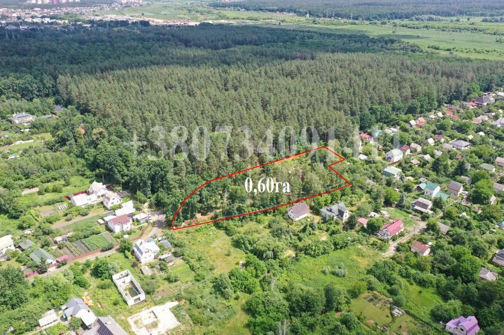 СТОЯНКА!Продаж Єксклюзивної  Ділянки 60 соток  в СТ"ІРПІНЬ"з прямим виходом до Лісу! - View 3