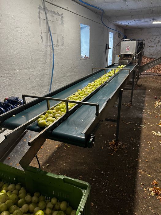 Linia do obierania cebuli