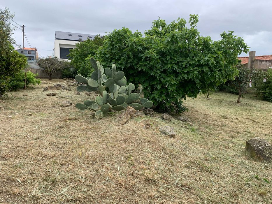 Serviços de limpeza de terrenos e quintal, corte de árvores de médio e pequeno porte