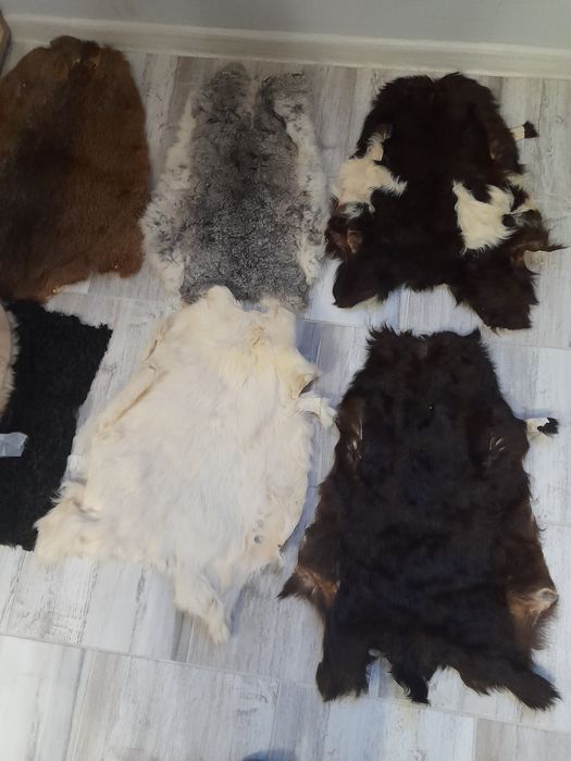 Шкурки вичиненні