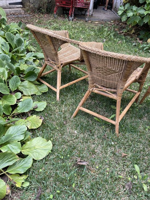 Cadeiras estilo bambu em palhinha
