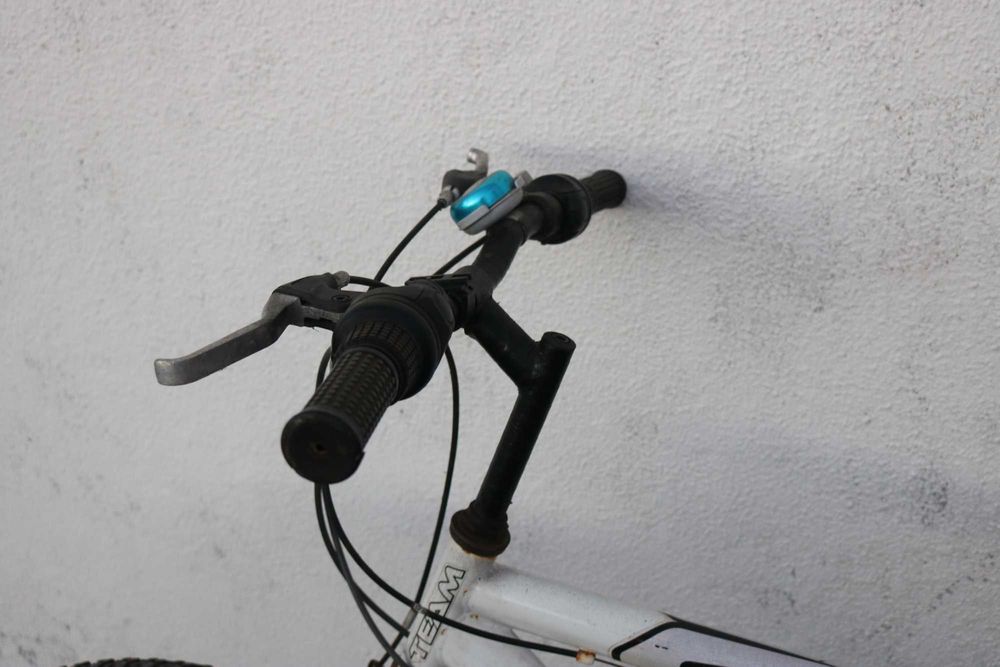 Bicicleta de Adulto