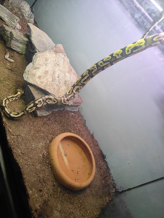 Akwarium 240 litrów