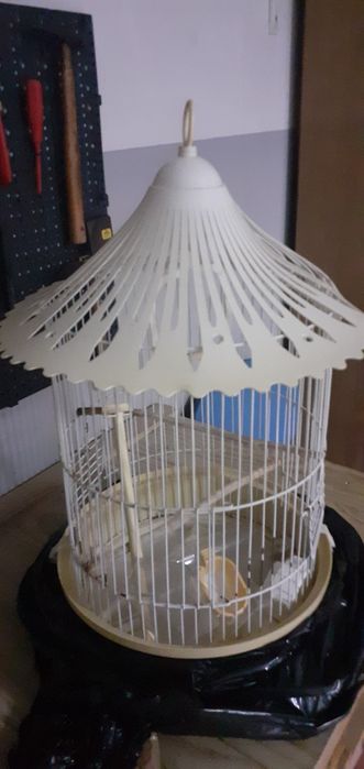 Gaiola para canários.