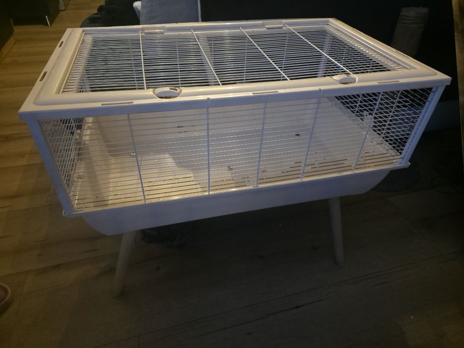 Mega klatka dla chomika czy królika