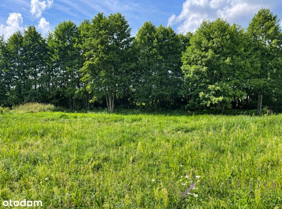 Duża Działka W Murowańcu | 1 626 M² | Mpzp