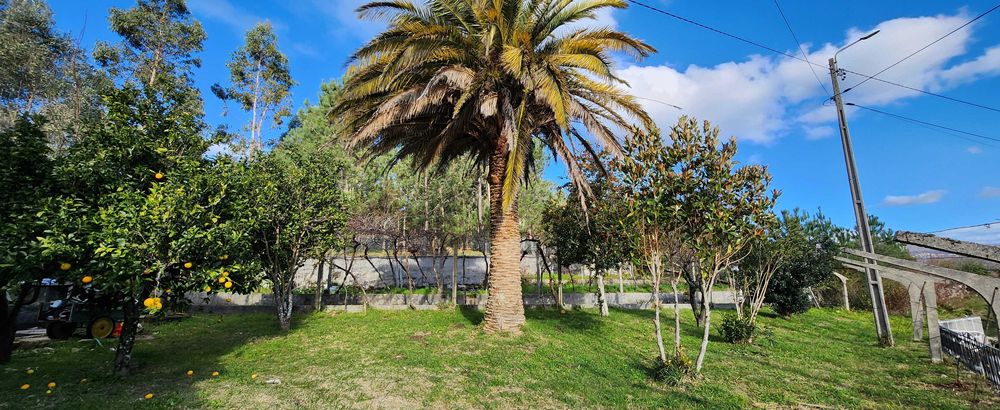 Casa espaçosa com anexos e jardim