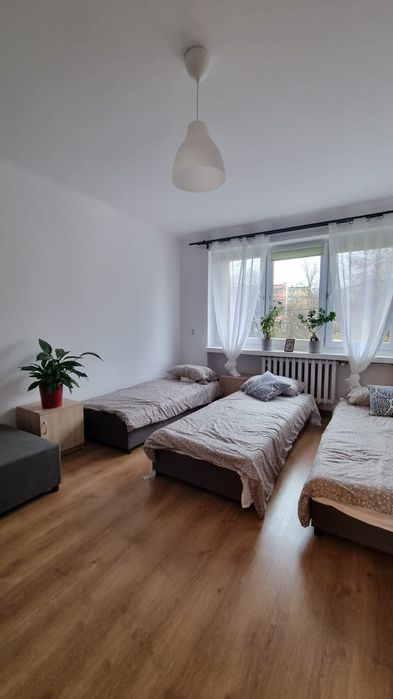 Sosnowiec ul. Kalinowa Wolna Kwatera