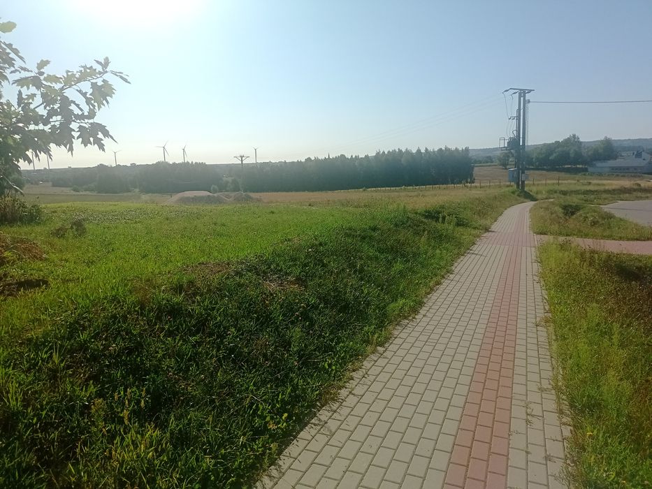 Działka rolno budowlana z warunkami na budownictwo mieszkaniowe - Widok 4