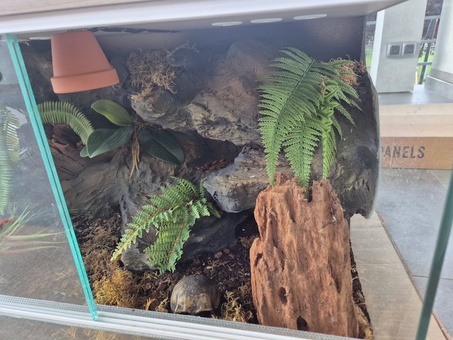 Terrarium z wyposażeniem